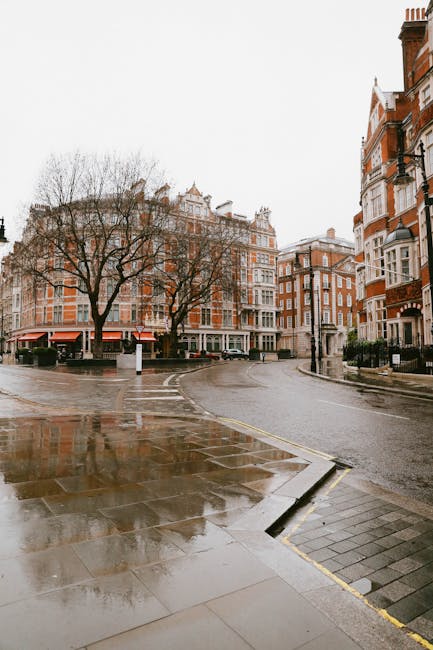 A wet city street scene in Mayfair with a row of multi-storey red brick buildings featuring white window frames and decorative architectural details. Bare trees line the street, suggesting late autumn or winter. The pavement and road surfaces are shiny from recent rain, with reflections visible on the wet surfaces. A small corner of a tiled sidewalk is visible in the foreground, alongside a drainage grate. The scene appears to be quiet with no pedestrians or vehicles in motion. This setting exemplifies an urban environment where professional movers, such as Movers Mayfair, might coordinate the loading process of household furniture and boxes into a van for home relocation. These images support services related to furniture transport, packing, and moving logistics as part of house removals in central London, specifically in areas like Mayfair, aligning with the context of Brook Street townhouse removals.